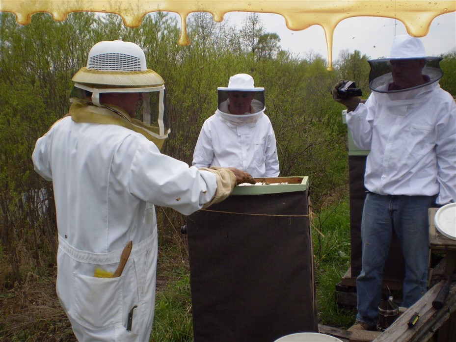Mentoring more future Bee Keepers
